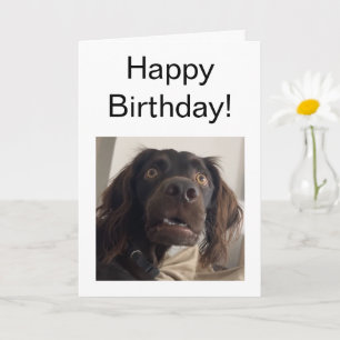 Mappat-Hund-nota för okänt kort