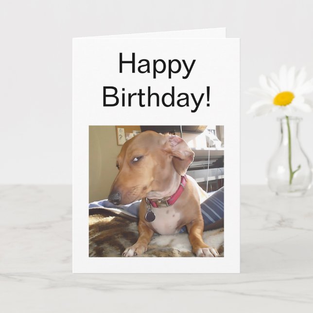 Mappat-kort, sid-Öga-Hund Kort (Liten växt)