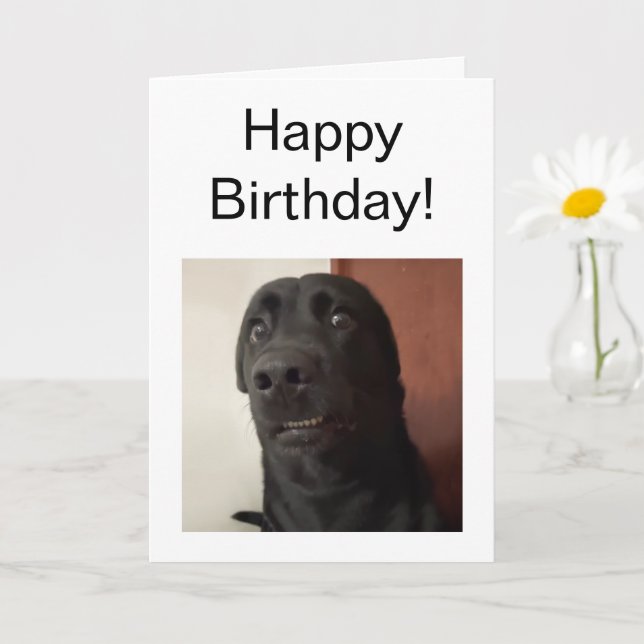 Mappat-kort Skrämt Hund Kort (Liten växt)