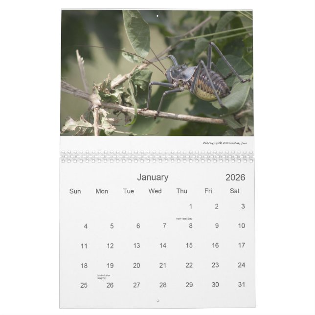 Mapungubwe NP RSA djurliv 2011/12 Kalender (Jan 2026)