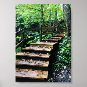 maquoketa caves i nationalparken poster