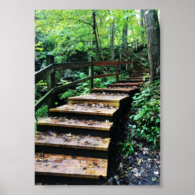 maquoketa caves i nationalparken poster (Framsidan)