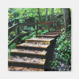 maquoketa caves - parker magnet