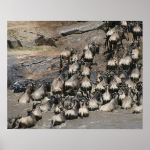 mara vildebeest poster