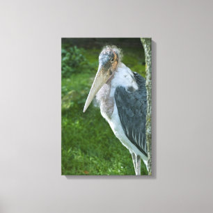 Marabou Canvastryck