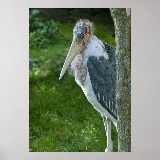 Marabou Poster (Framsidan)