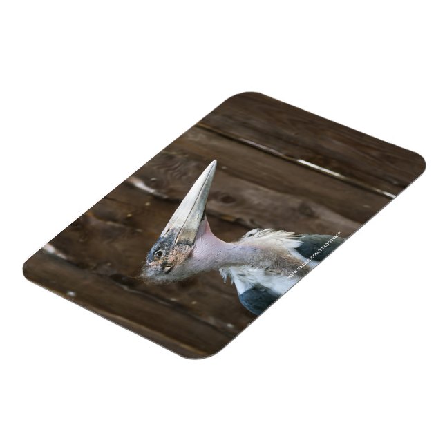 Marabustork Magnet (Vänstra Sidan)