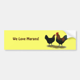 Marans Black Copper Bildekal