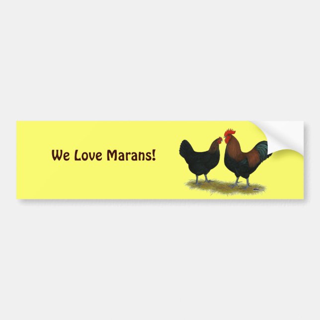 Marans Black Copper Bildekal (Framsidan)