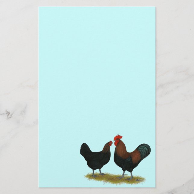 Marans Black Copper Brevpapper (Framsida)