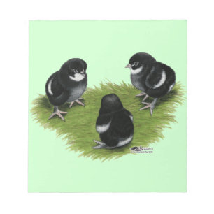 Marans Black Copper Chicks Anteckningsblock
