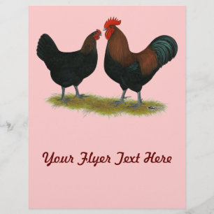 Marans Black Copper Reklamblad