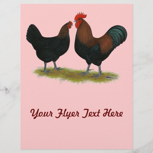 Marans Black Copper Reklamblad (Framsidan)