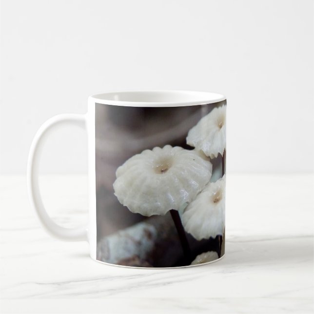 Marasmius rotula Mushroom Mugg (Vänster)
