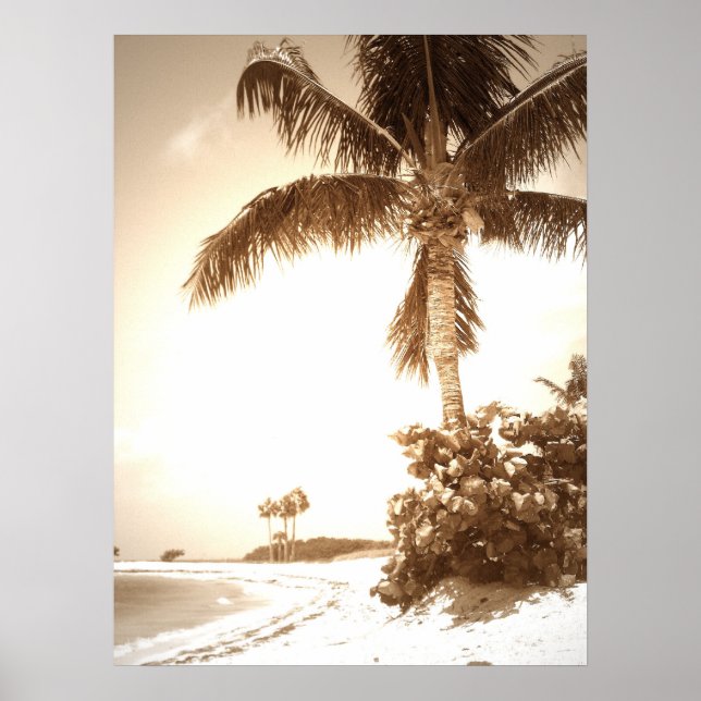 Marathon Beach Poster (Framsidan)