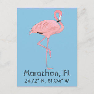 Marathon FL Keys Flamingo Latitud Longitud Vykort