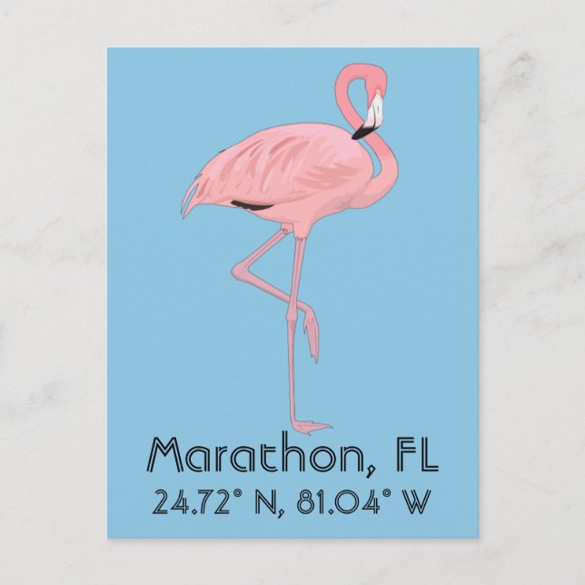 Marathon FL Keys Flamingo Latitud Longitud Vykort (Framsida)