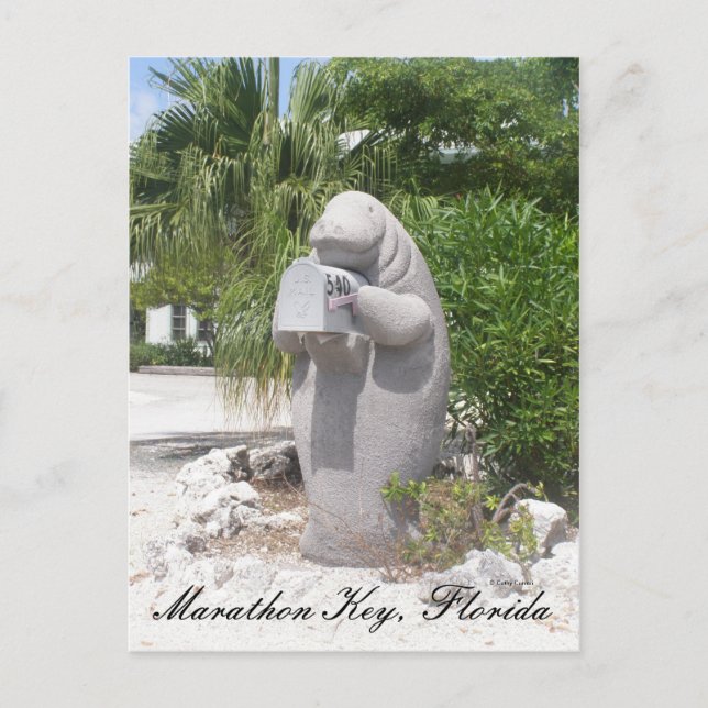 Marathon Key, Florida Vykort (Framsida)