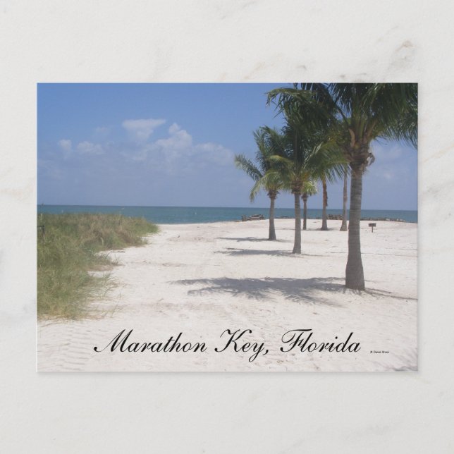 Marathon Nyckel, Florida Vykort (Framsida)