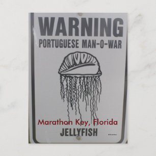 Marathon Nyckel, Florida Vykort