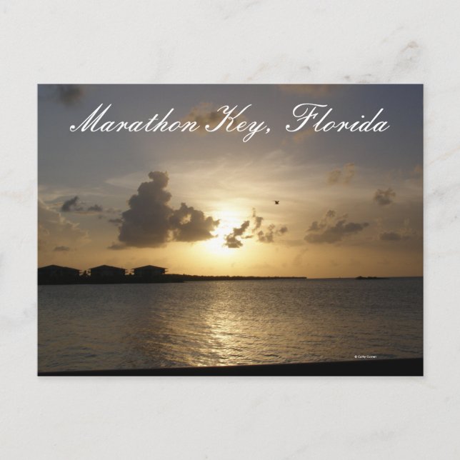 Marathon Nyckel, Florida Vykort (Framsida)