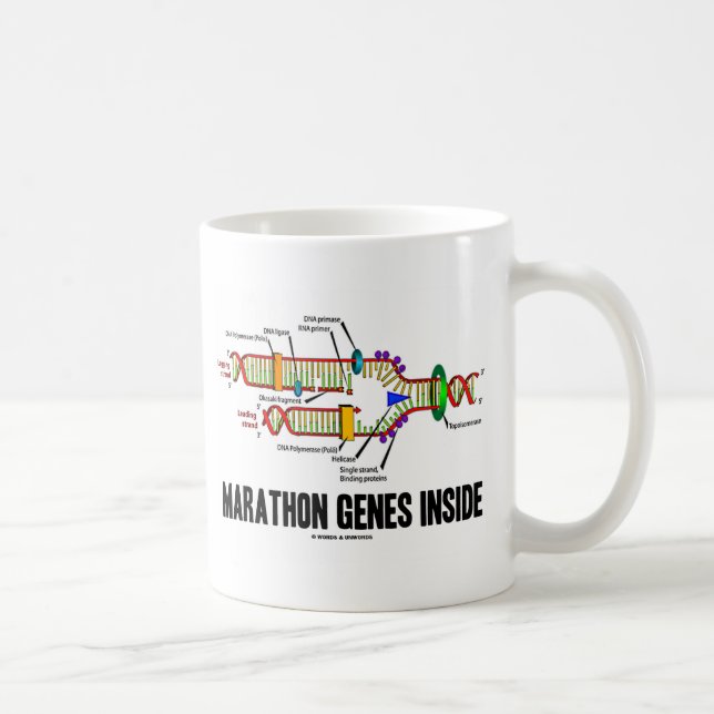 Maratongeninsida (DNA-replicationen) Kaffemugg (Höger)
