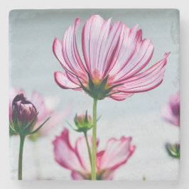 Marble Cosmos Underlägg