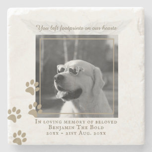 Marble Hund Memorial Photo Plaque Angel Vingar Stenunderlägg