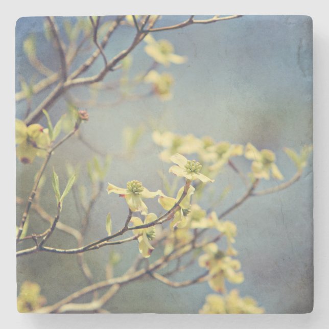 Marble och Dogwood underlägg (Framsidan)