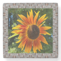 Marble Photo underlägg med orange Solros 2