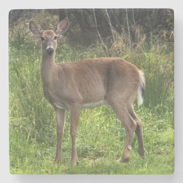 Marble Stone-Hjorten Underlägg (Framsidan)