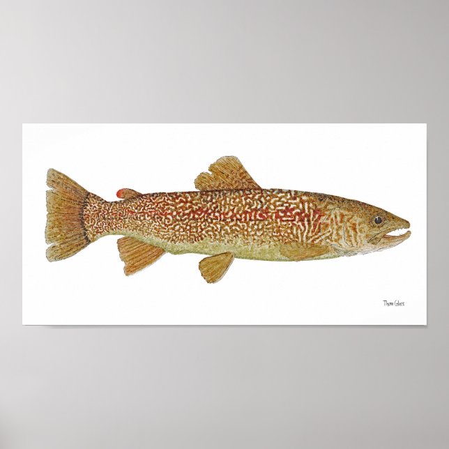 Marble Trout of Slovenska Art Poster (Framsidan)