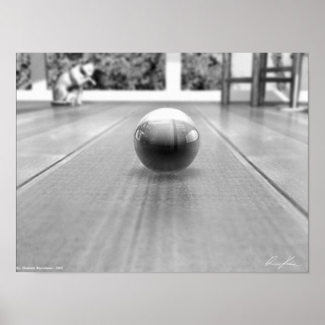 Marble's World - Black and White Poster (Framsidan)