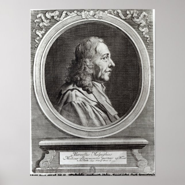 Marcello Malpighi åldras 67, 1694 Poster (Framsidan)