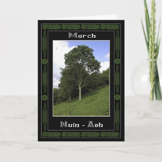 Marceltic Druid Birthday Träd Symbols Kort (Framsida)