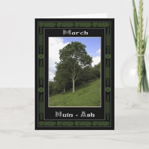 Marceltic Druid Birthday Träd Symbols Kort