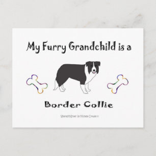 march112015BorderCollie.jpg Vykort