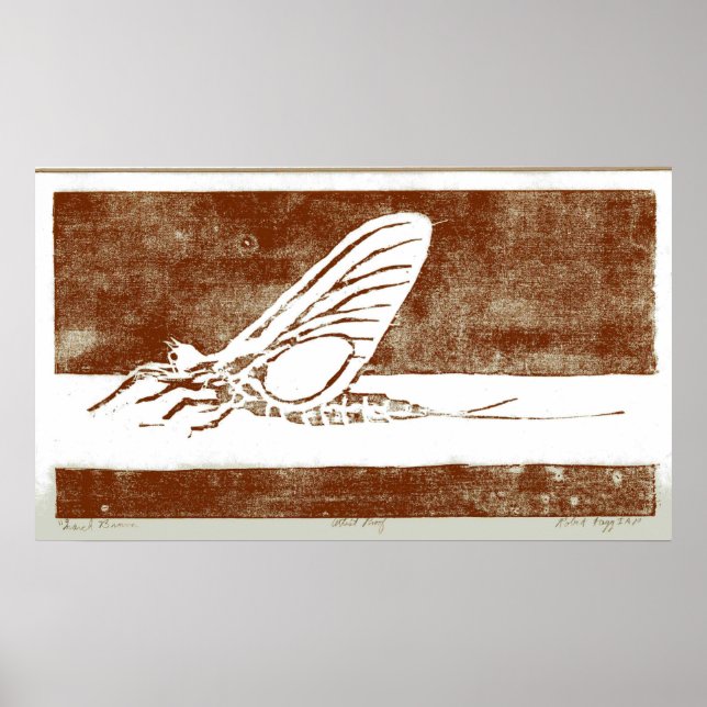 March Brown May Fly Poster (Framsidan)