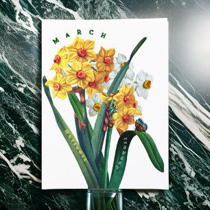 March Flowers Jonquil Daffodil Vykort