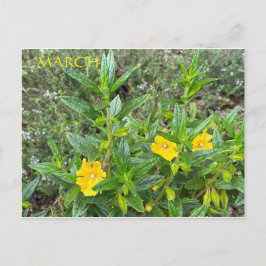 MARCH POSTCARD VYKORT