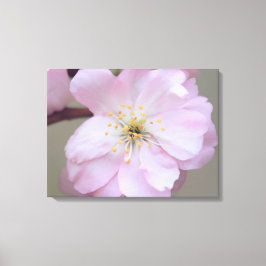March Yoshino Inkapslad Canvas
