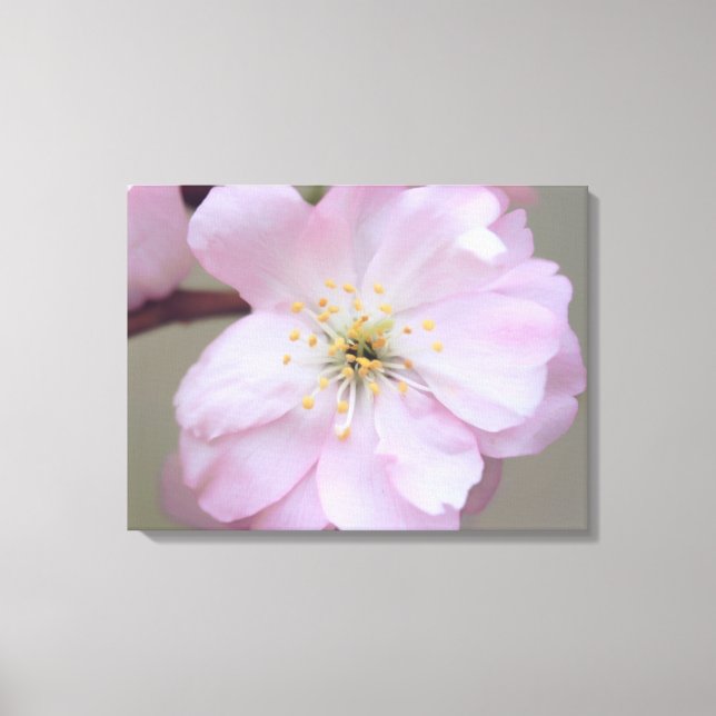 March Yoshino Inkapslad Canvas (Framsida)