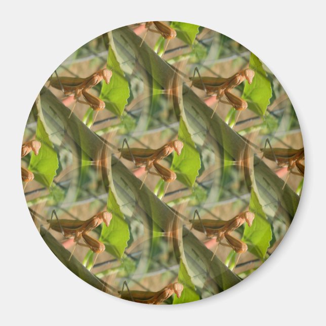 Marchin på... magnet (Framsidan)