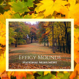 Marching Bear Mound, Höst, Effigy Mounds Vykort