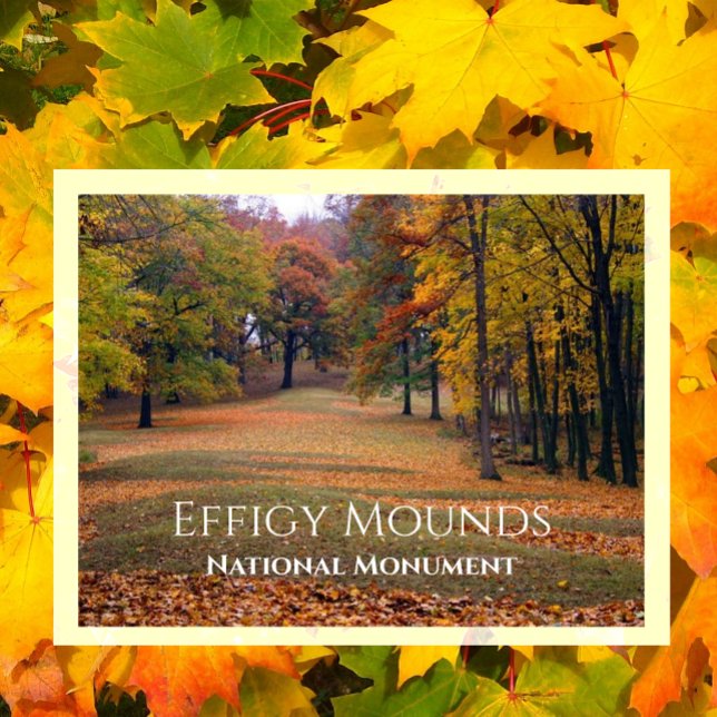 Marching Bear Mound, Höst, Effigy Mounds Vykort (Skapare uppladdad)