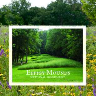 Marching Bear Mounds Group, sommar, Effigy Mounds Vykort