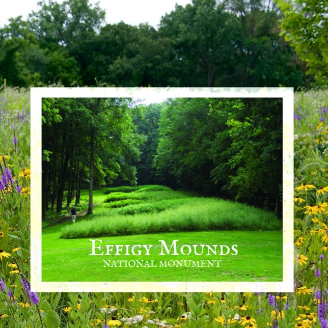 Marching Bear Mounds Group, sommar, Effigy Mounds Vykort (Skapare uppladdad)