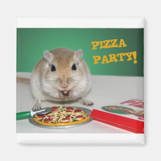 Marco Gerbil's Pizza Party Magnet