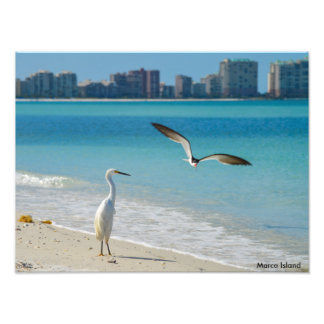Marco Island Fototryck