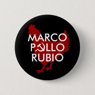 Marco Pollo Knapp